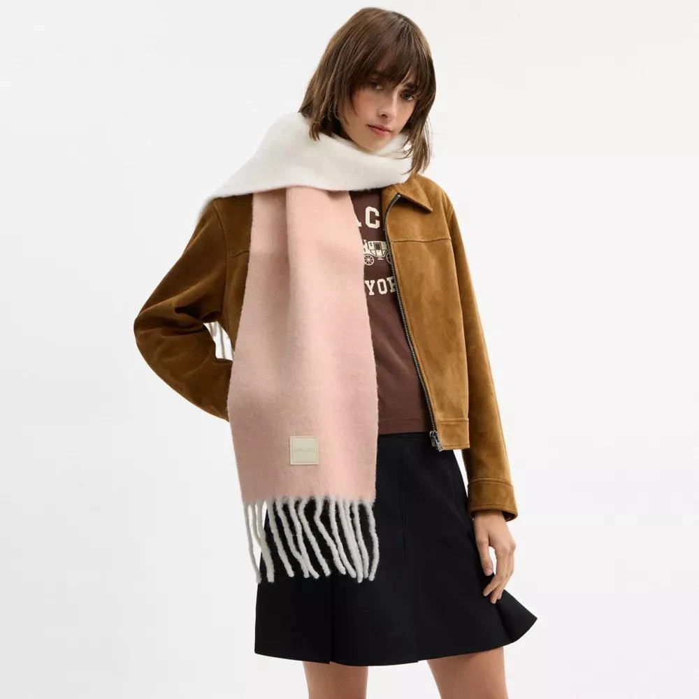 Coach Colorblock Muffler With Rubber Patch 2