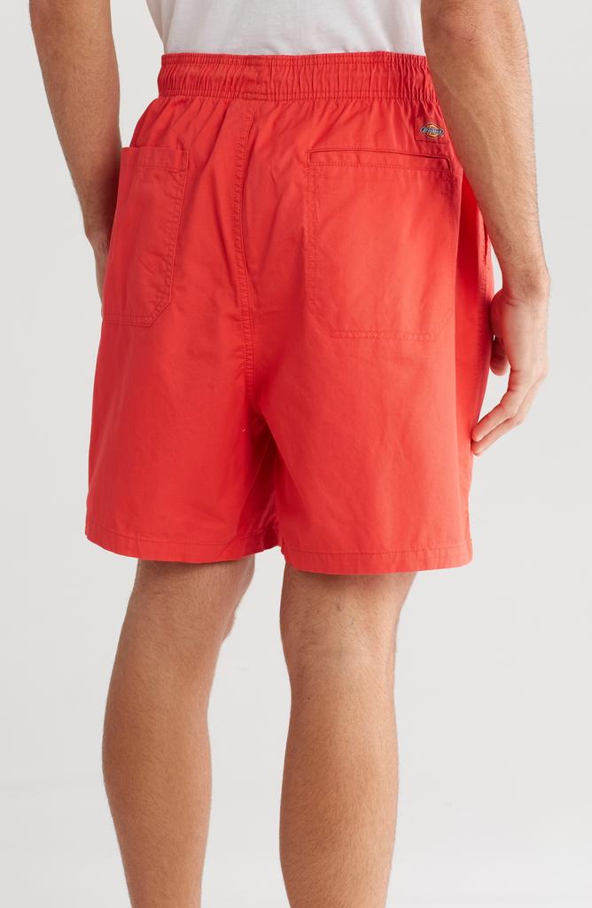 Dickies Pelican Rapids Shorts