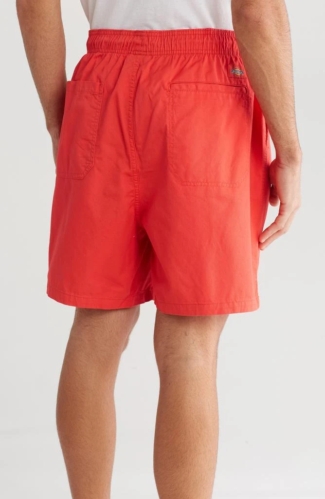 Dickies Pelican Rapids Shorts 2