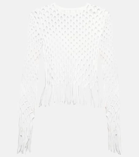Dion Lee Fringed fishnet top 1