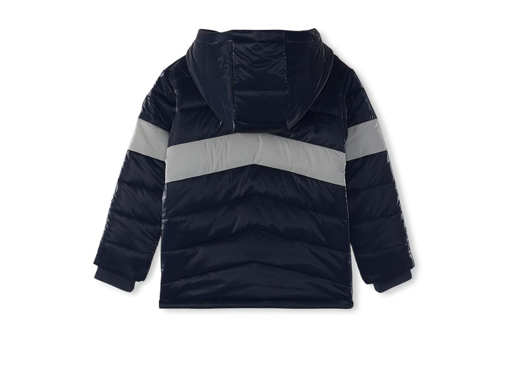 Hatley Shark Skin Colourblock Puffer Jacket (Toddler/Little Kid/Big Kid)