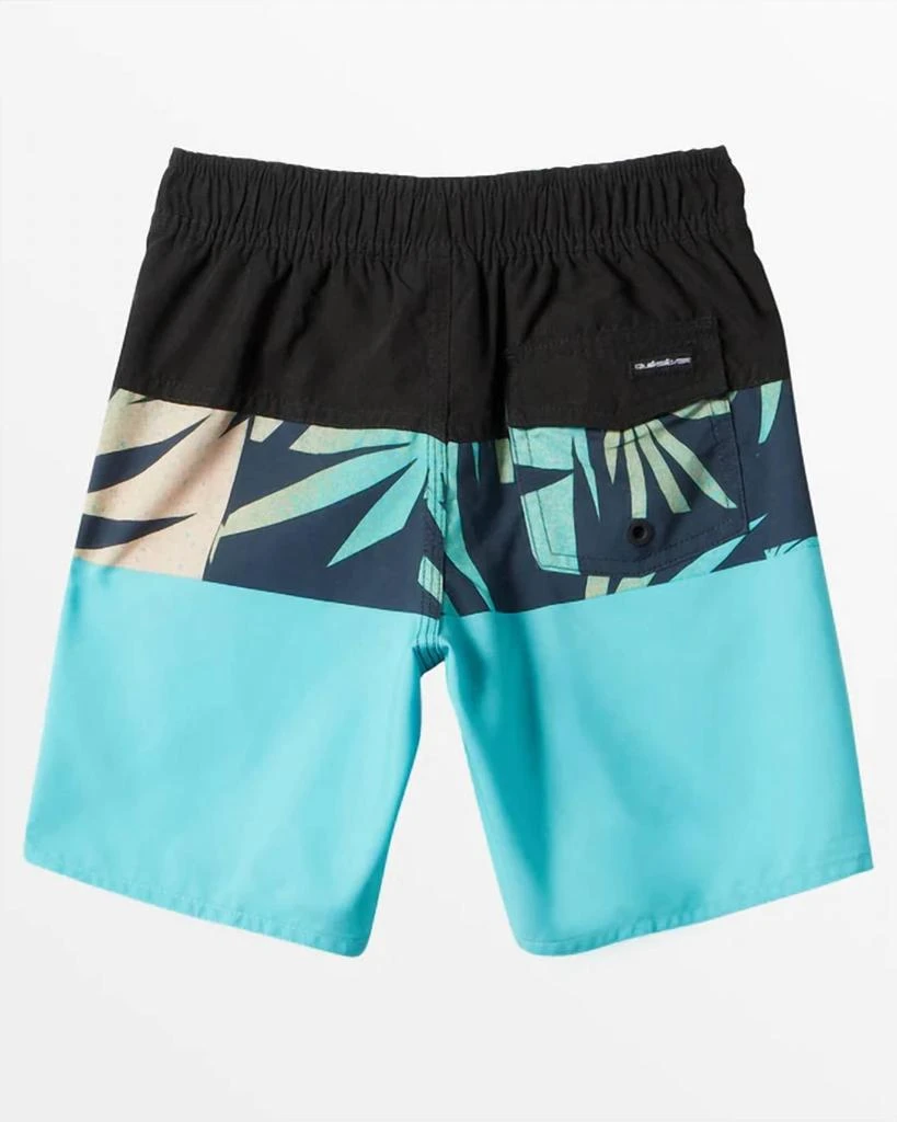 Quicksilver Quicksilver - Big Boys Everyday Panel Board Shorts 4