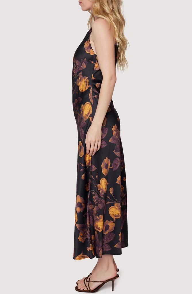 Lost and Wander Jardin De Siene Floral Sleeveless Maxi Dress 3