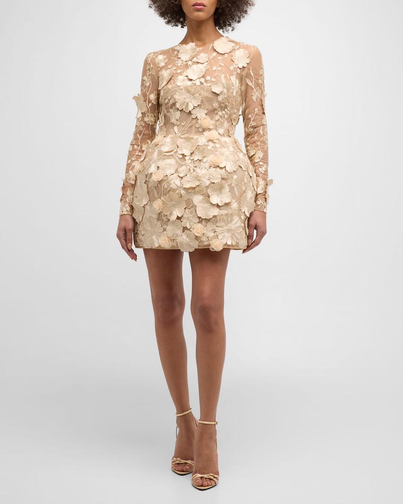 BRONX AND BANCO Bouquet Maraya Embroidered Illusion Mini Dress