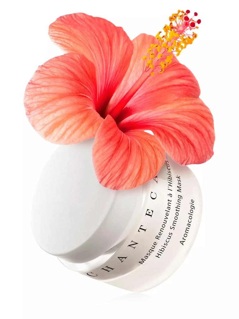 Chantecaille Hibiscus Smoothing Mask 2