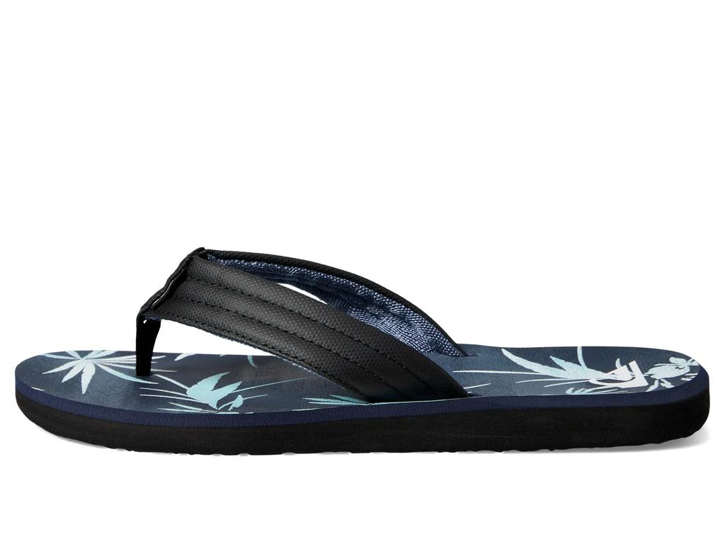 Quiksilver Carver Print 4