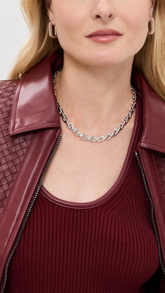 Chan Luu Ellis Chain Link Necklace 2