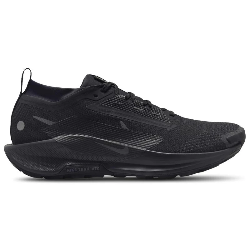 NIKE Nike Reactx Pegasus Trail 5 GTX - Men's 1