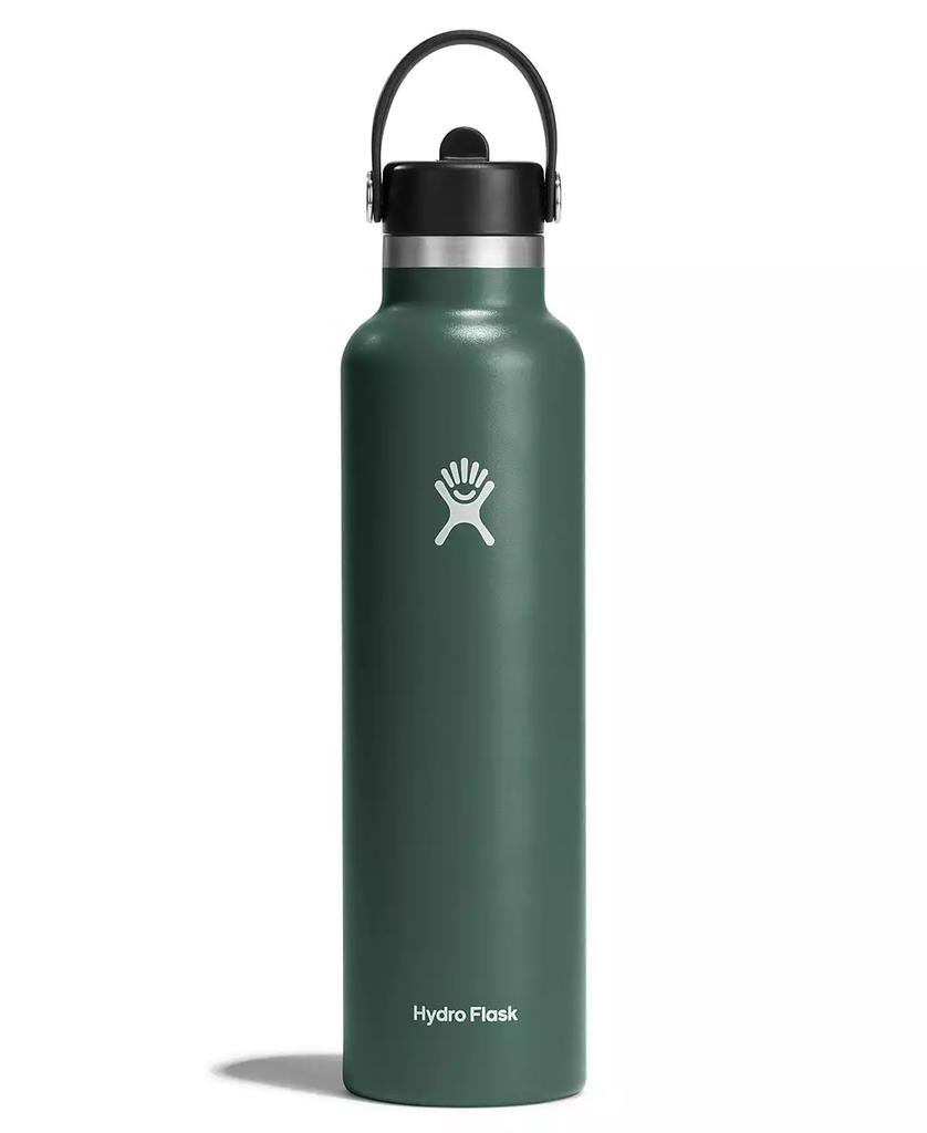 Hydro Flask 24 oz Standard Mouth with Flex Straw Cap