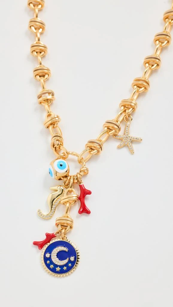 Elizabeth Cole Crescent Necklace 1