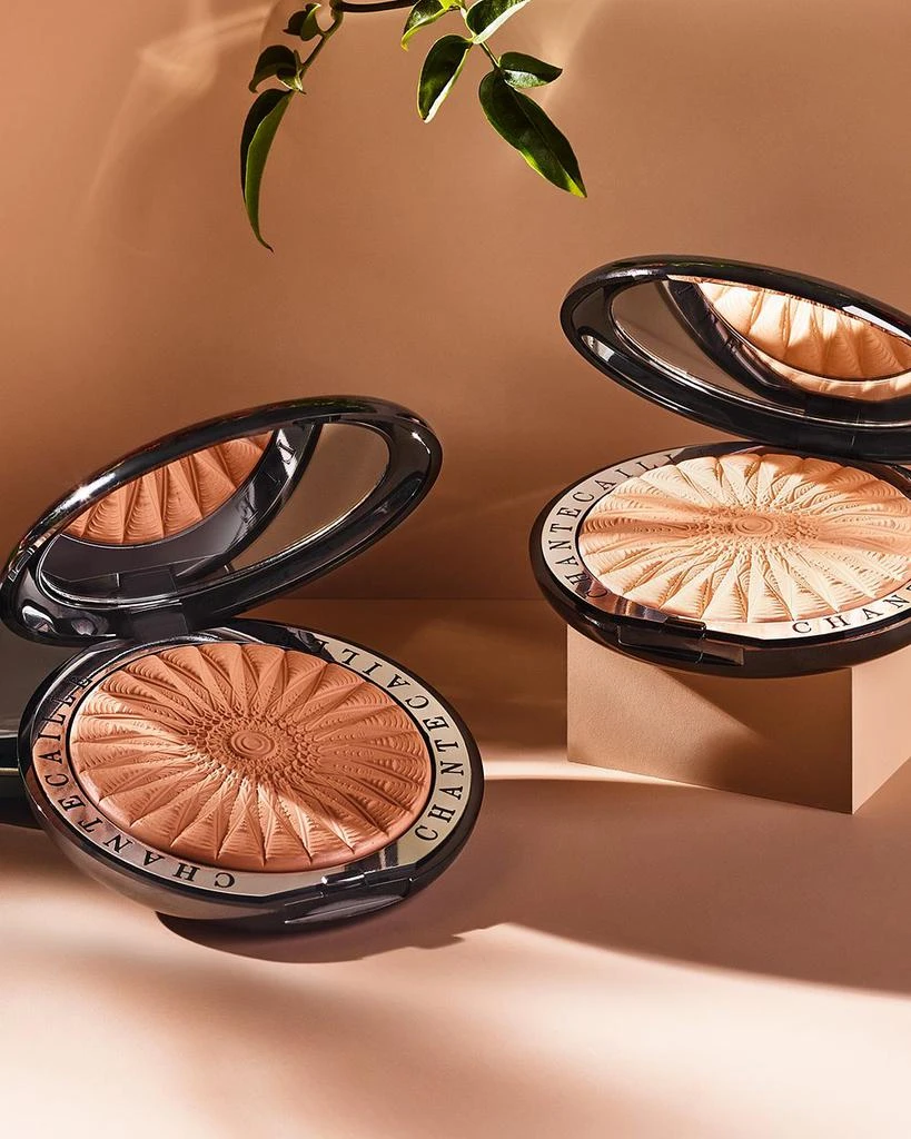 Chantecaille Perfect Blur Finishing Powder 2