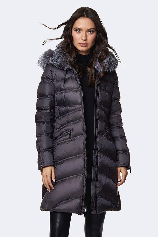 Dawn Levy Cloe - FUR