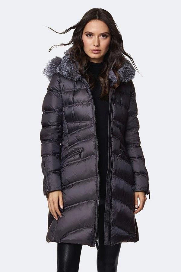 Dawn Levy Cloe - FUR 1