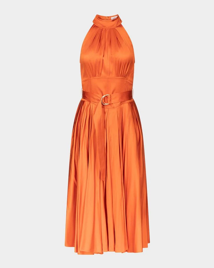 Diane von Furstenberg Nicola Pleated Halter Midi Dress - Dresses & Skirts -  Compare Prices from 7+ Stores - Free Shipping - BeyondStyle