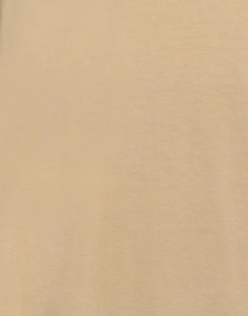 irish crone Basic T-shirt 4