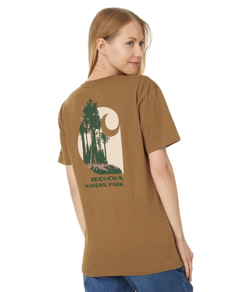 Carhartt Loose Fit Heavyweight Short Sleeve Sequoia National Park Graphic T-Shirt 2