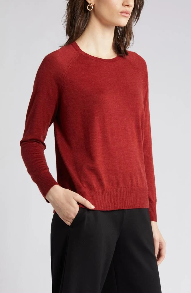 Eileen Fisher Raglan Sleeve Merino Wool Pullover 10