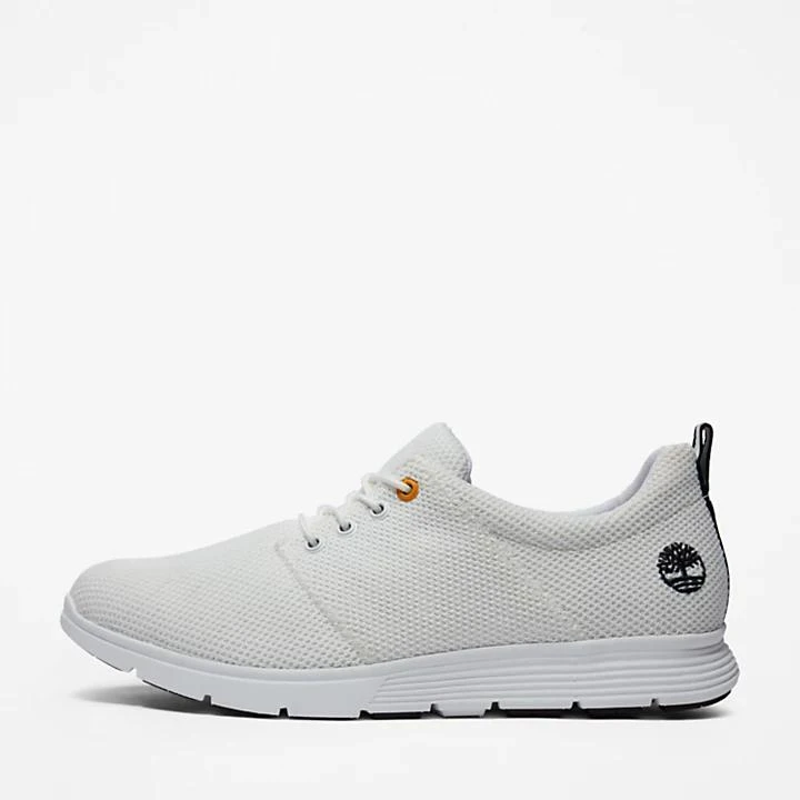 Timberland Killington Oxford Shoe for Men in White 8