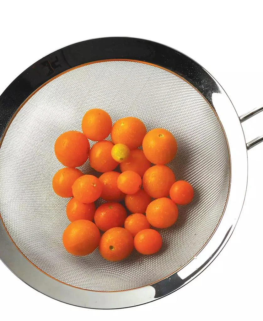 RSVP International Endurance Stainless Steel 7.75" Mesh Drainer 8