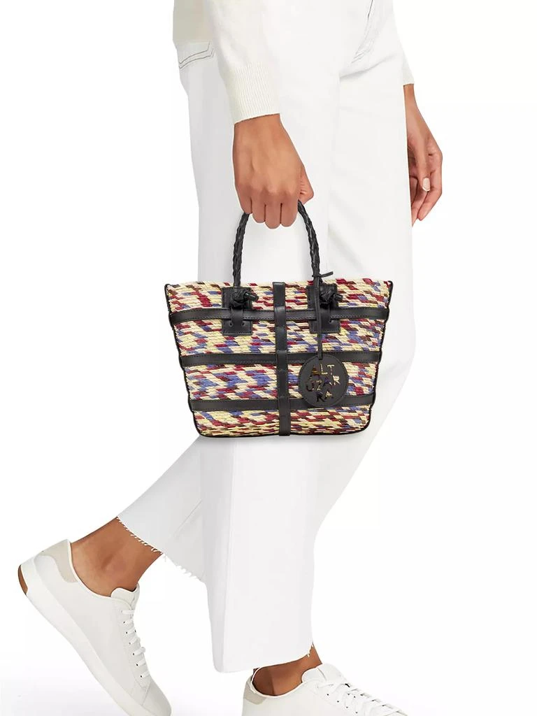 Altuzarra Watermill Raffia Mini Tote Bag 3