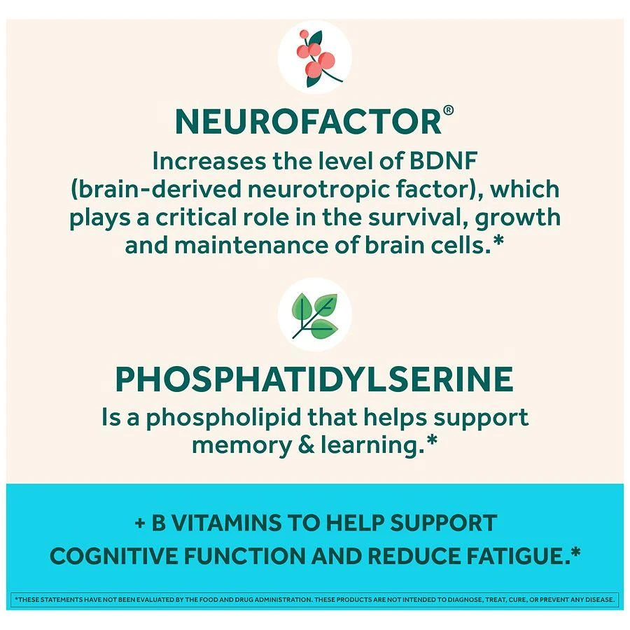 Neuriva Brain Health Supplement, Vitamins B12 & B6, Support for Memory and Focus Strawberry 2
