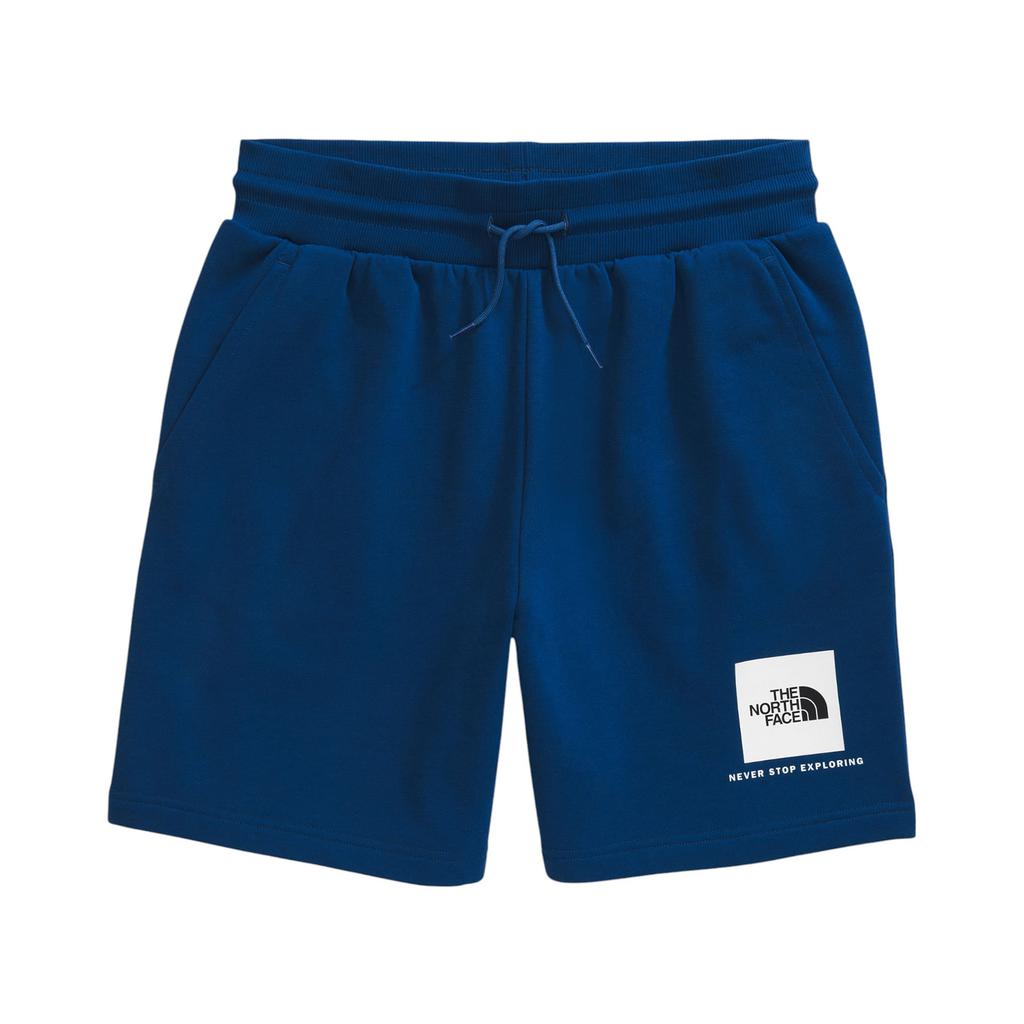 The North Face The North Face Box NSE Regular Shorts - Men's