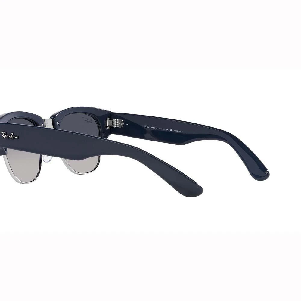 Ray-Ban Ray-Ban Browline Frame Sunglasses 3
