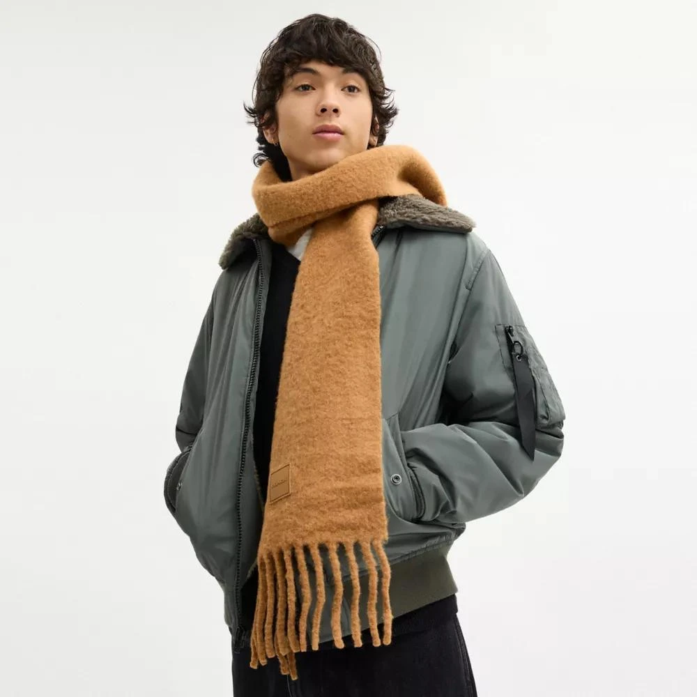 Coach Muffler With Rubber Patch 3