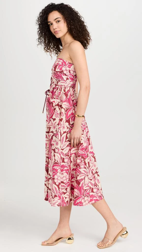 Cara Cara Nicola Midi Dress 3