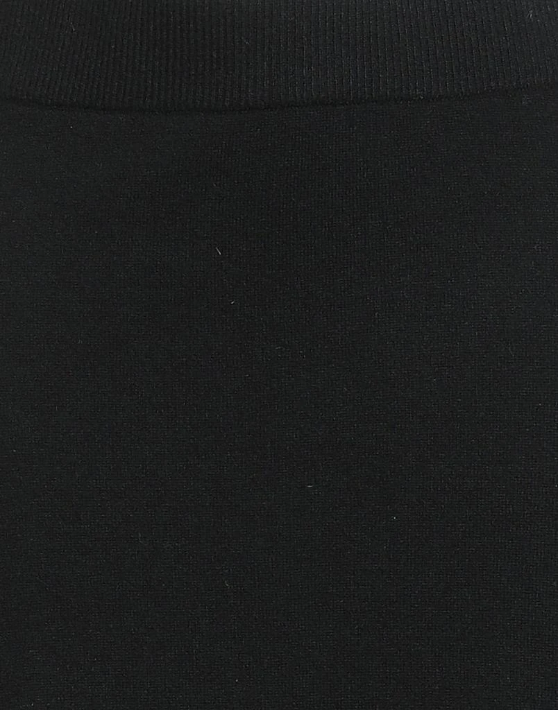 Yves Salomon Midi skirt 4