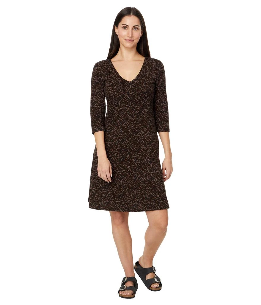 Toad & Co Rosalinda Dress 4