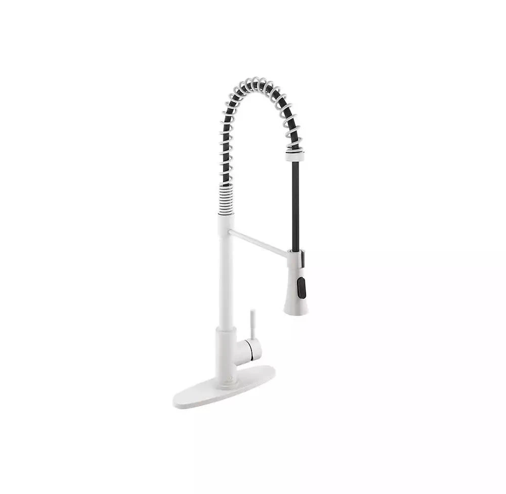 CASAINC Spring Pull Down Sprayer Kitchen Faucet with Dual-Function Spray Head and Deck Plate