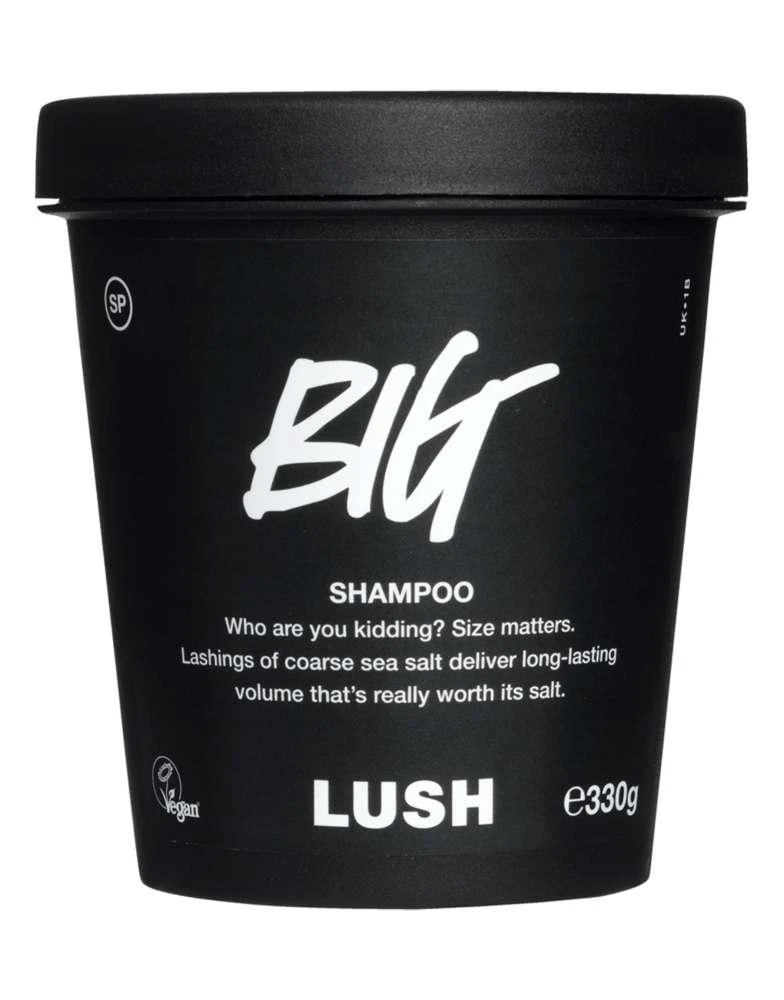 Lush LUSH Big Shampoo 1