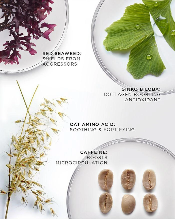 NOBLE PANACEA The Brilliant Vibrant Eye Infusion Refill 6