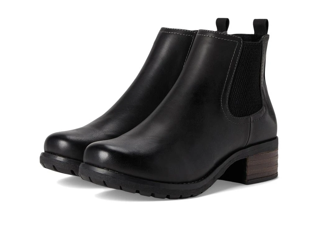 Eastland Jasmine 1