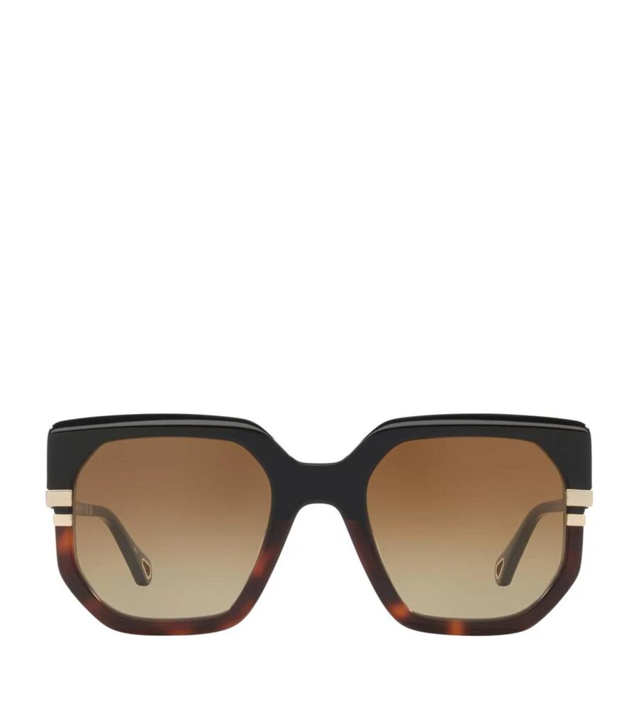 Chloé Metal CH0240S Sunglasses 1