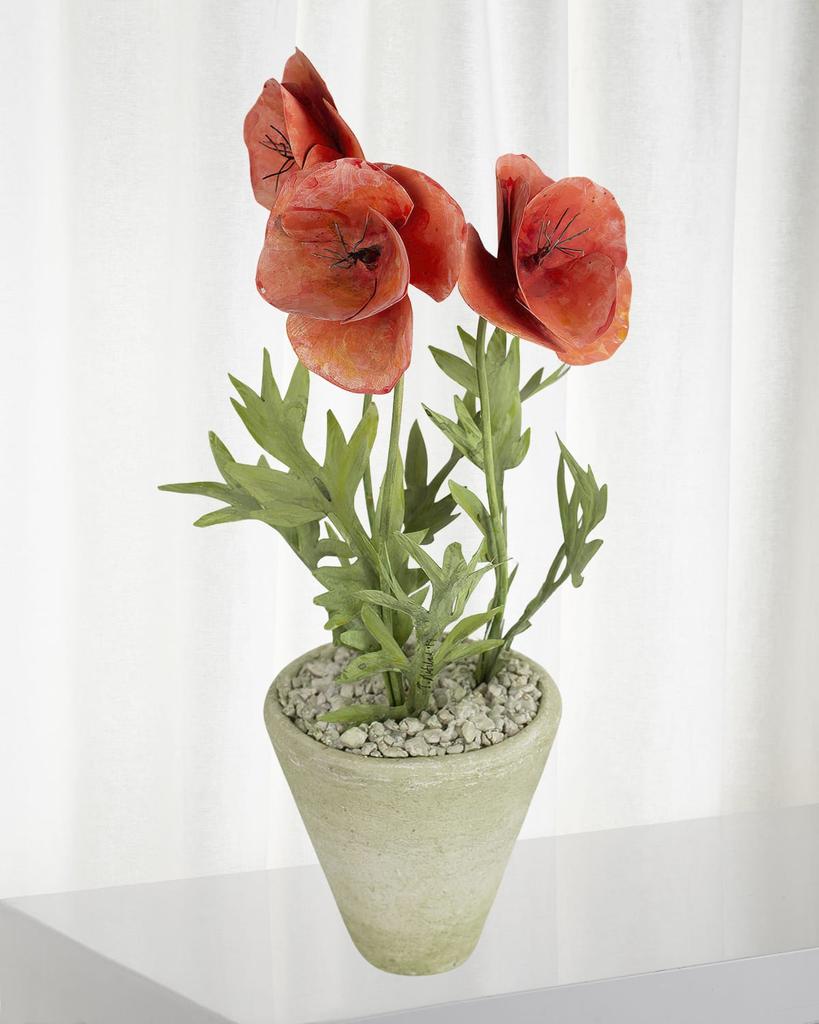 Tommy Mitchell Poppy August Birth Flower in White Terracotta Pot