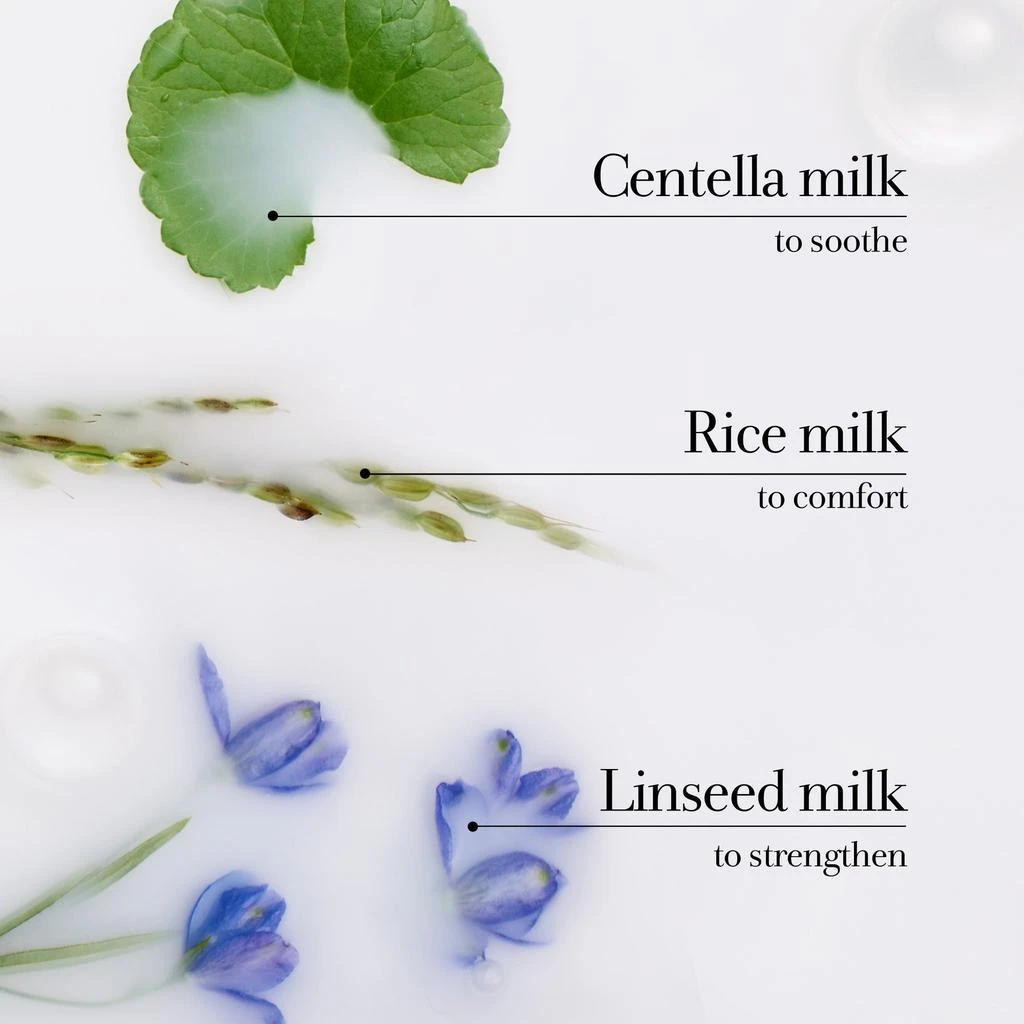 Fresh Milk Body Lotion 4