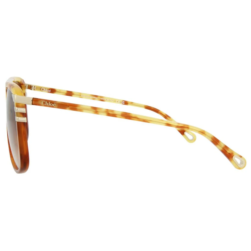 Chloé Chloe Women's Sunglasses 3