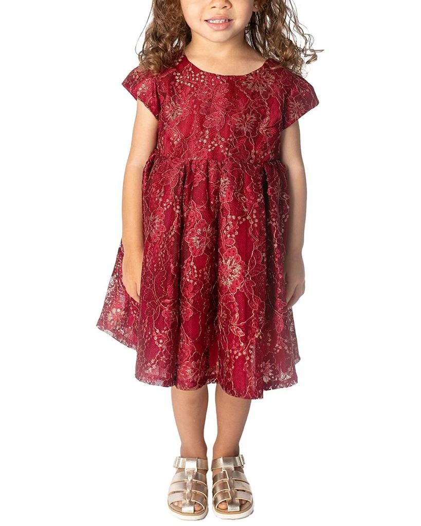 Baby Girls Burgundy Shimmer Overlay Dress, 12M
