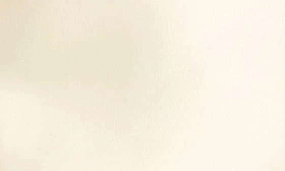 Cinq à Sept Elson Sleeveless Minidress 3