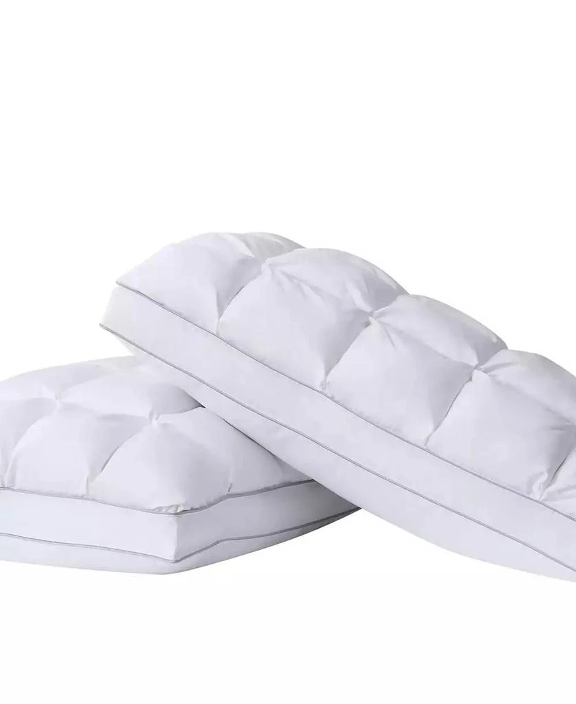 Charisma Luxe Down Alternative Gel Filled Chamber 2-Pack Pillows, Standard 2