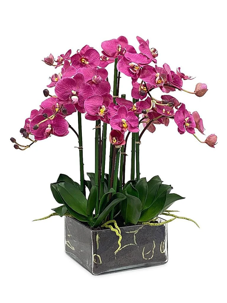 Winward Home Faux Floral Phalaenopsis in Square Vase
