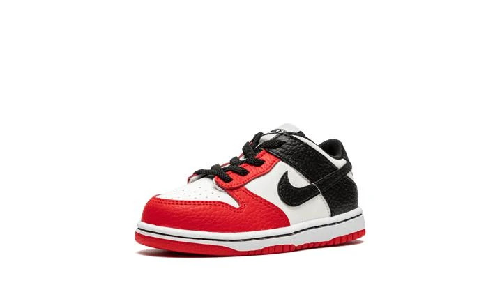 NIKE Nike NIKE DUNK LOW (TDE) 5