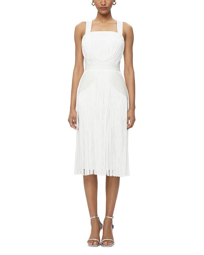 Herve Leger Marion Fringe Dress 1