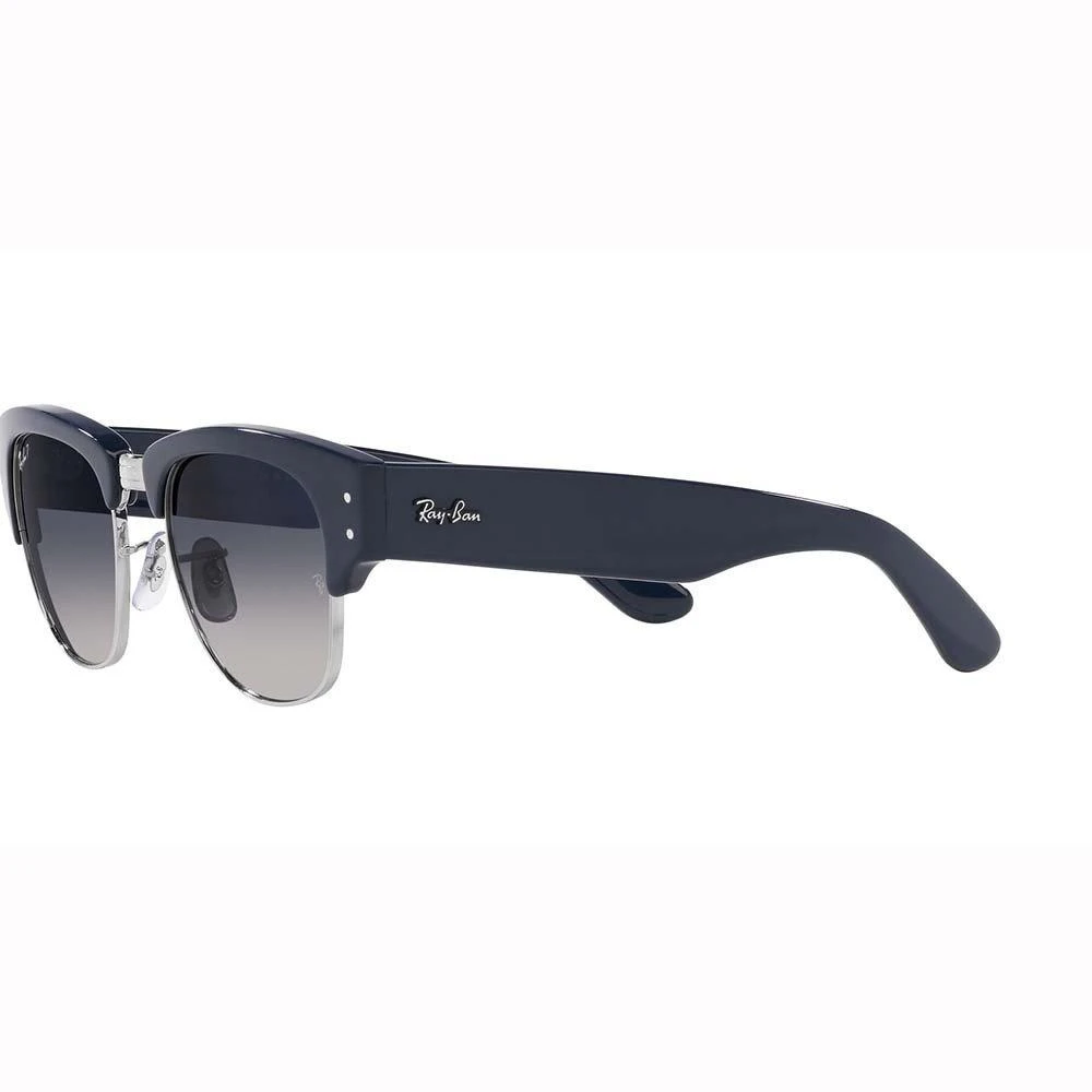 Ray-Ban Ray-Ban Browline Frame Sunglasses 2
