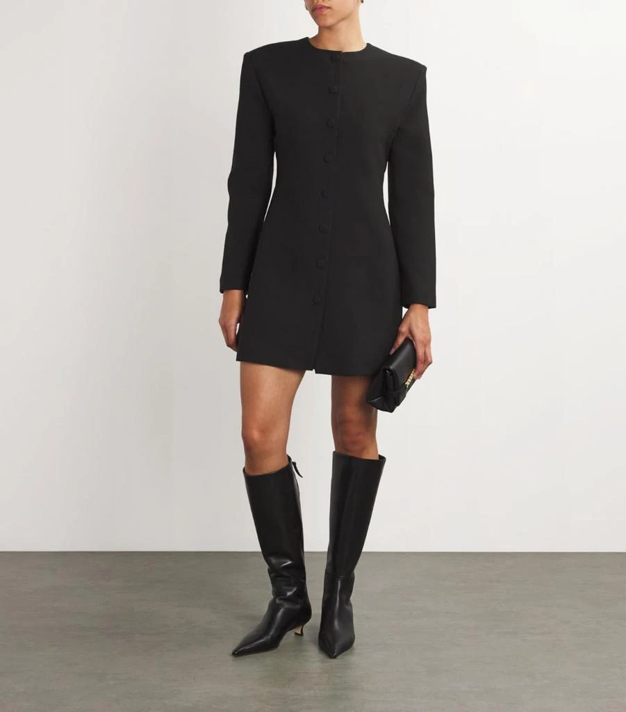 AEXAE Wool Contour Mini Dress 2