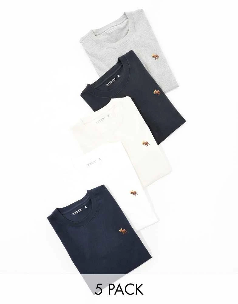 Abercrombie & Fitch Abercrombie & Fitch 5 pack icon logo t-shirt in black/navy/grey/cream/white 1