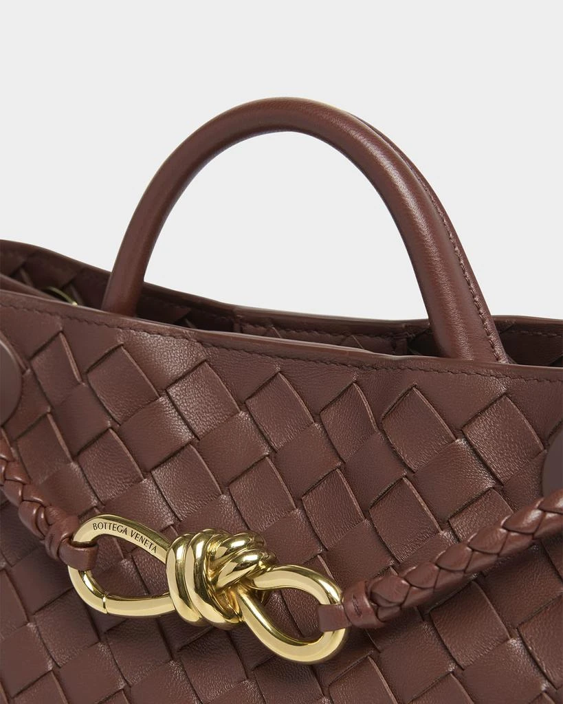 Bottega Veneta Small Andiamo Bag 6