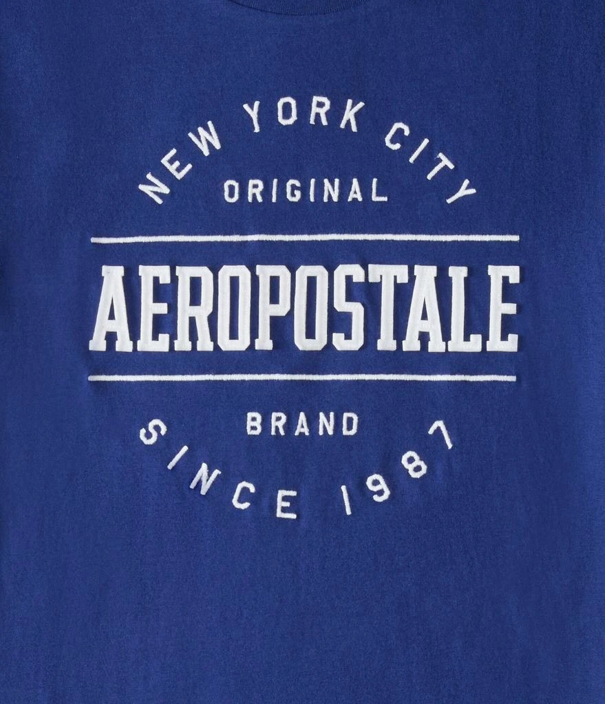 Aeropostale Nyc Circle Appliqué Graphic Tee 2